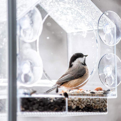 Bird's Eye View: Smart Bird Feeder With Live Camera Feed