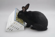The Open Air Hay Feeder and Hay Roller Bundle