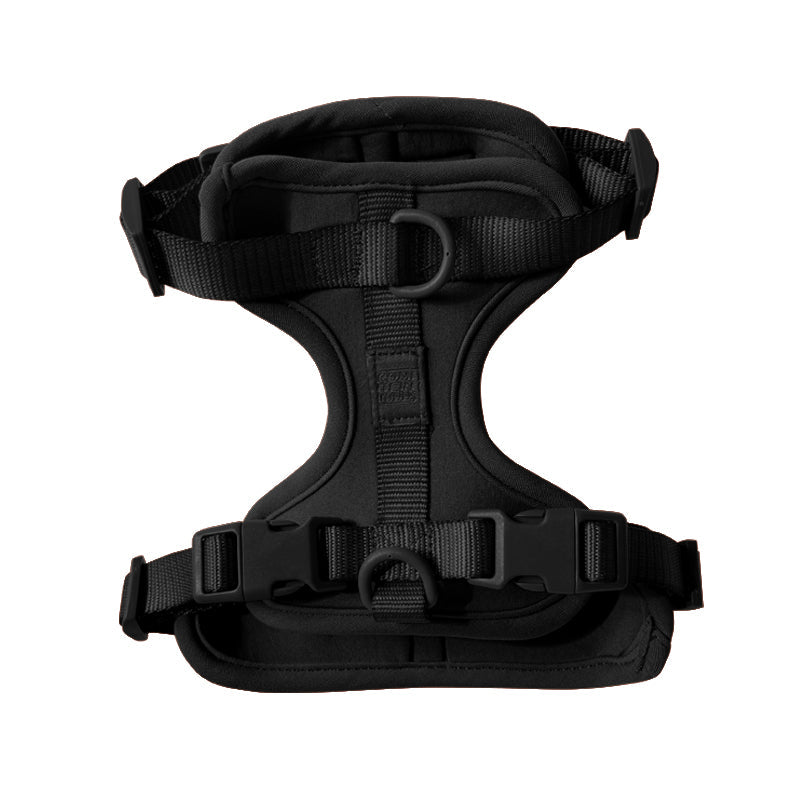 Harness