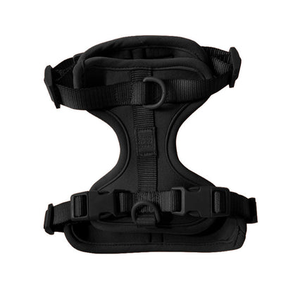 Harness