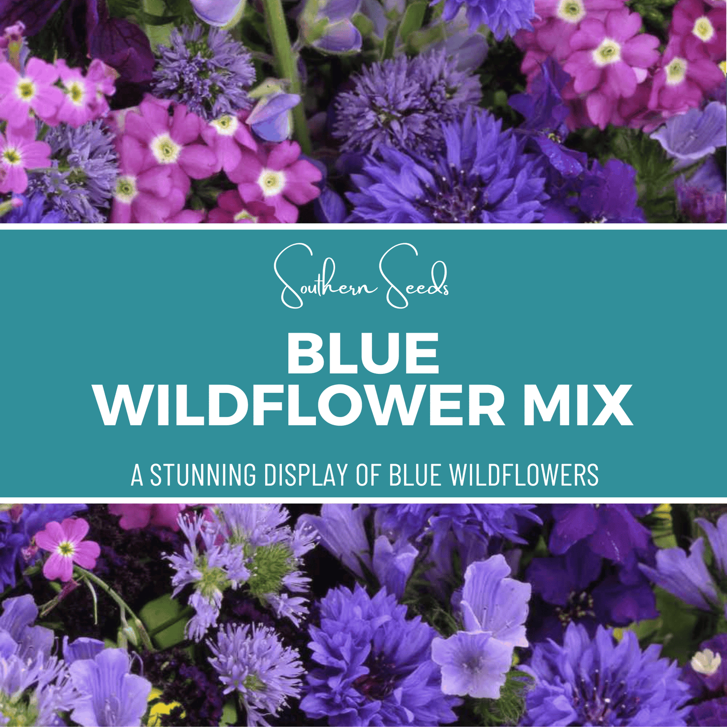 Blue Wildflower Seed Mix - 100 Seeds, Blue Annual Wildflowers for Garden, Self-Sowing, USDA Zones 3-11
