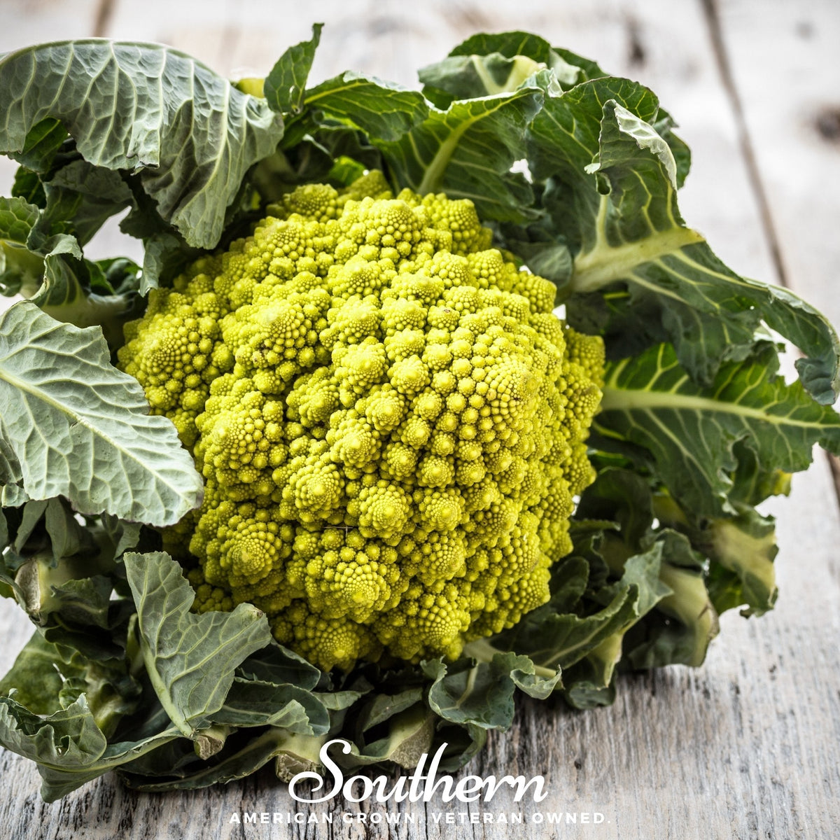 Romanesco Broccoli Seeds - Heirloom, Non-GMO, Fractal Chartreuse Heads, 100 Seeds Brassica oleracea