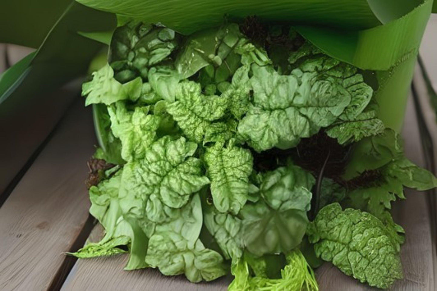 Bloomsdale Long Standing Spinach Seeds - Heirloom Leafy Green for Home Garden, Crinkled Dark Green Spinacia oleracea