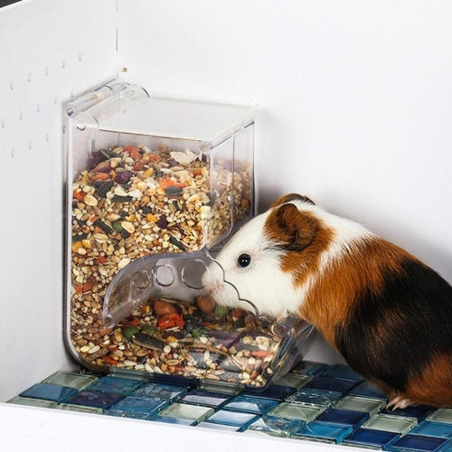 Transparent Plastic Hamster Feeder Food Box Innovative Fixable