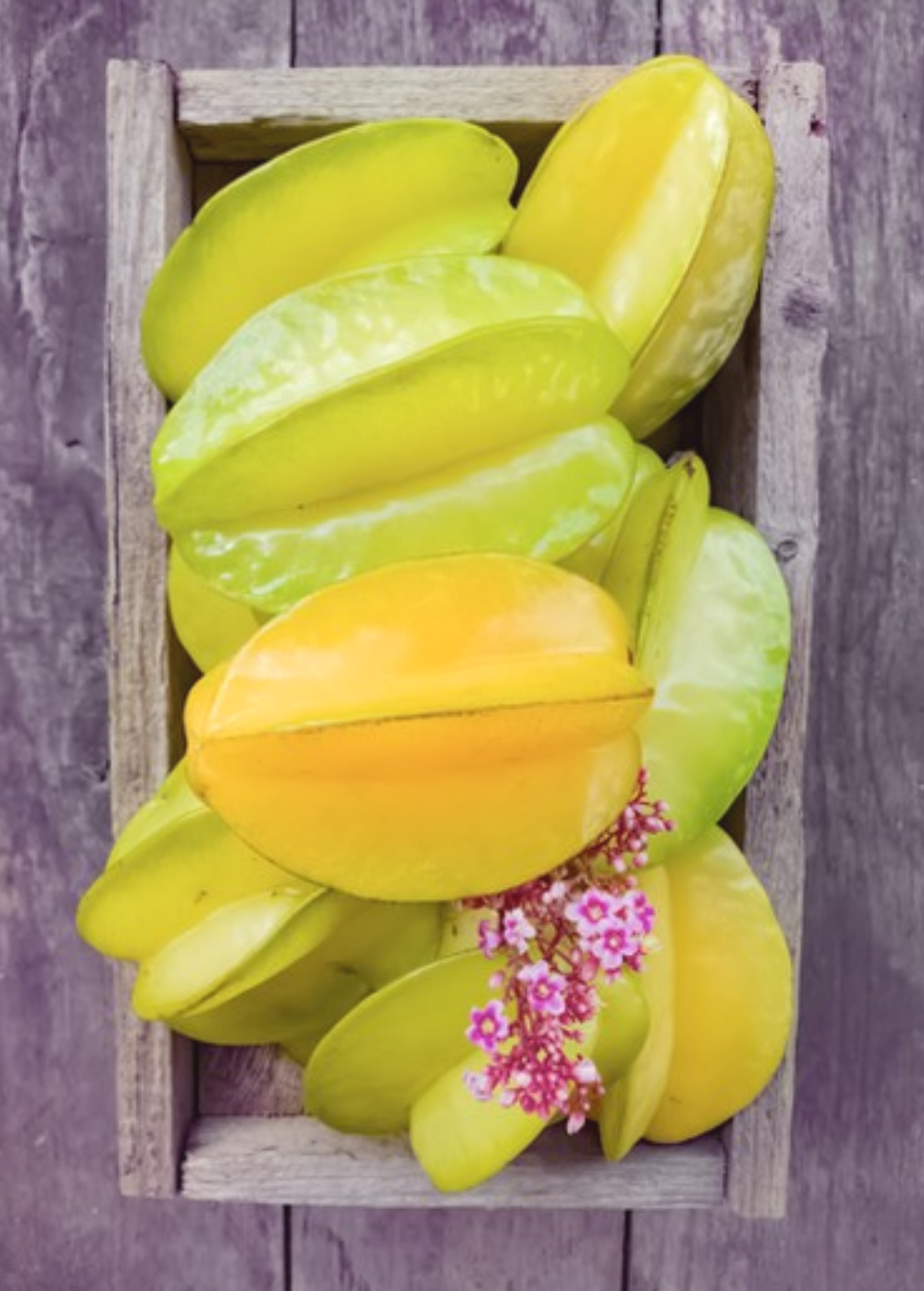 Star Fruit Tree Kajang Averrhoa carambola Grafted Tropical Fruit for Fresh Eating & Juicing