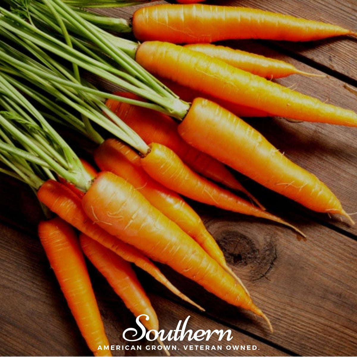 Scarlet Nantes Carrot Seeds – Heirloom, All-Purpose, Sweet & Crisp – Daucus carota, 250 Seeds