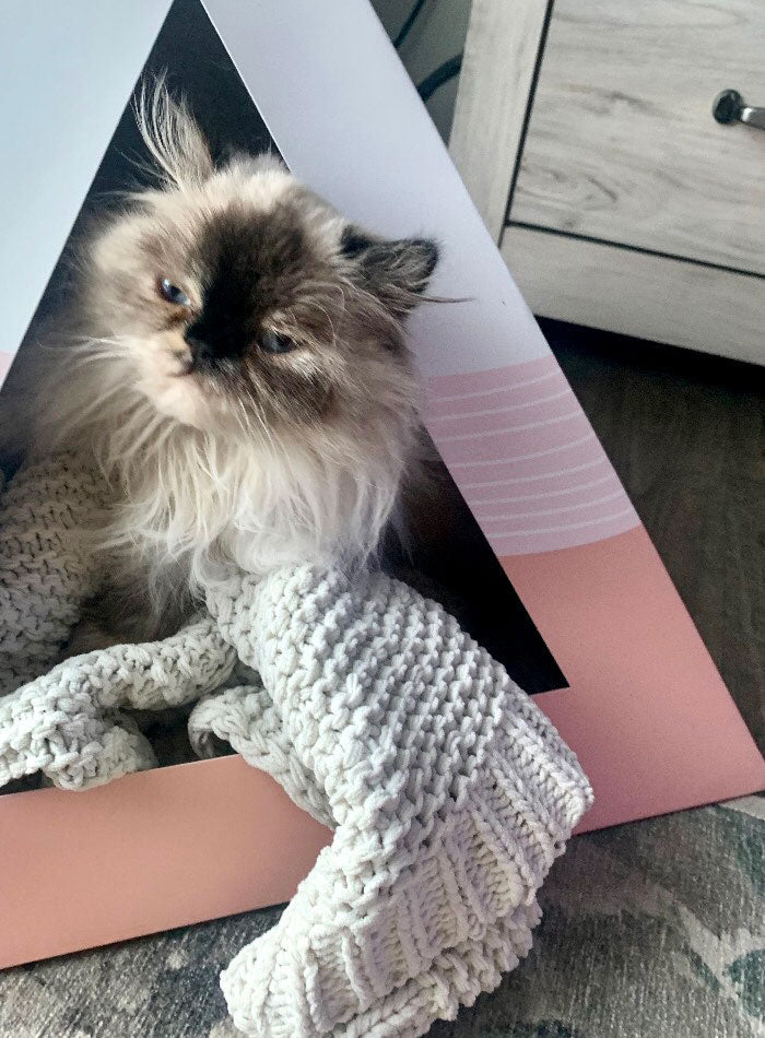 Wavey Cardboard Cat Pyramid