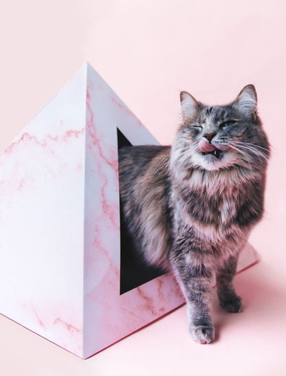 Rose Quartz Cardboard Cat Pyramid