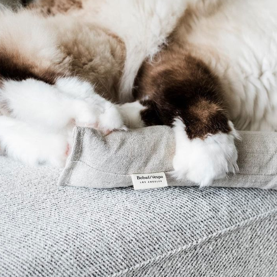 Boba & Vespa Cat Kicker Toy for Bunny Kicks  - DOGS love it too!