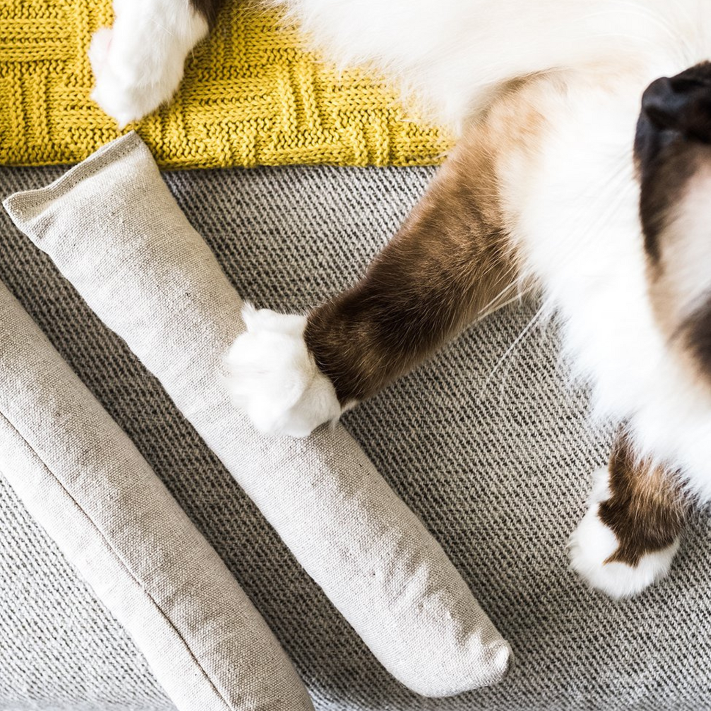 Boba & Vespa Cat Kicker Toy for Bunny Kicks  - DOGS love it too!