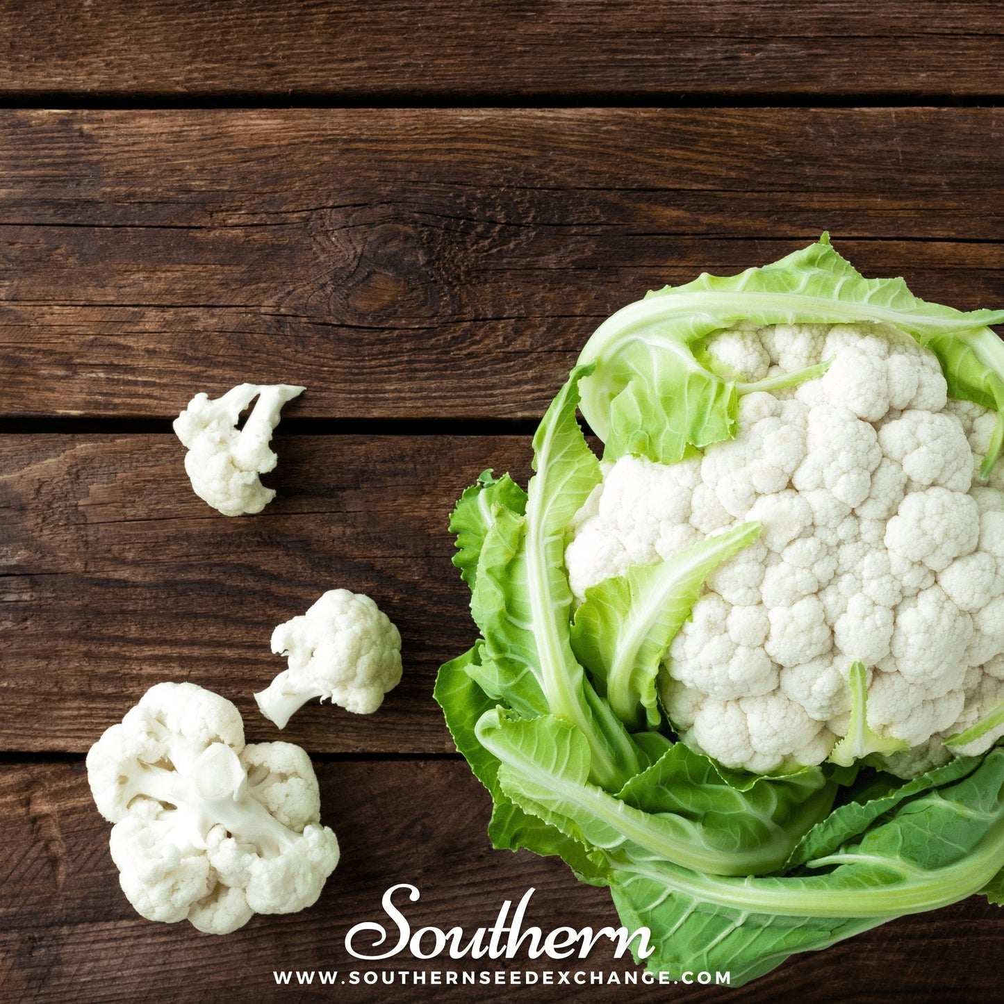 Snowball Y Improved Cauliflower Seeds – Heirloom, Non-GMO, Open Pollinated, American Grown, 200 Seeds