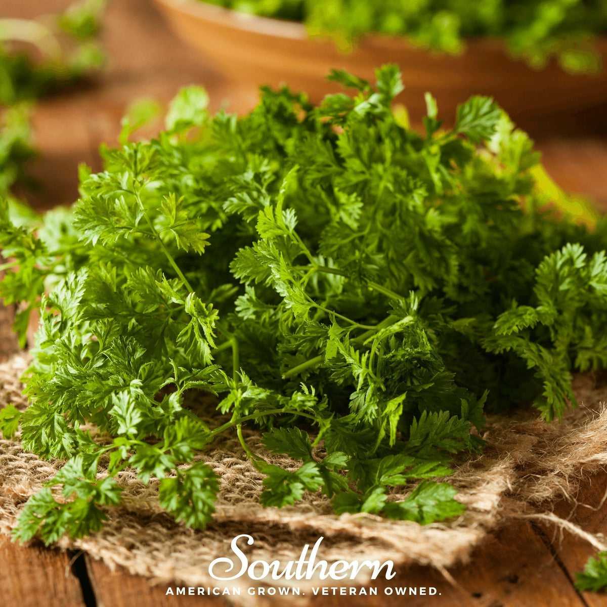 Curled Chervil Seeds – 200 Heirloom, Open Pollinated, Non-GMO, French Herb, Anthriscus cerefolium, Culinary Fines Herbes