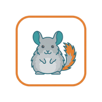 Chinchilla