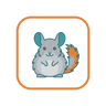 Chinchilla