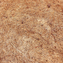 Coconut Palm Mat Reptile Box Landscaping - Dust-Free Natural Habitat Enhancement