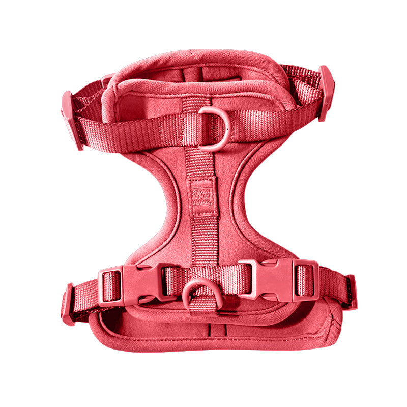 Harness