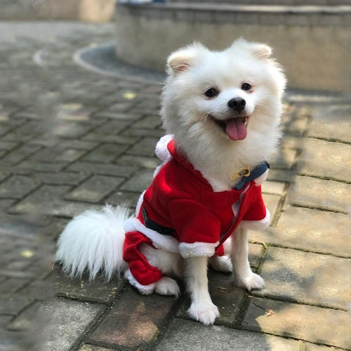 Cozy Christmas Pet Sweater: Warmth And Style For Your Furry Friend