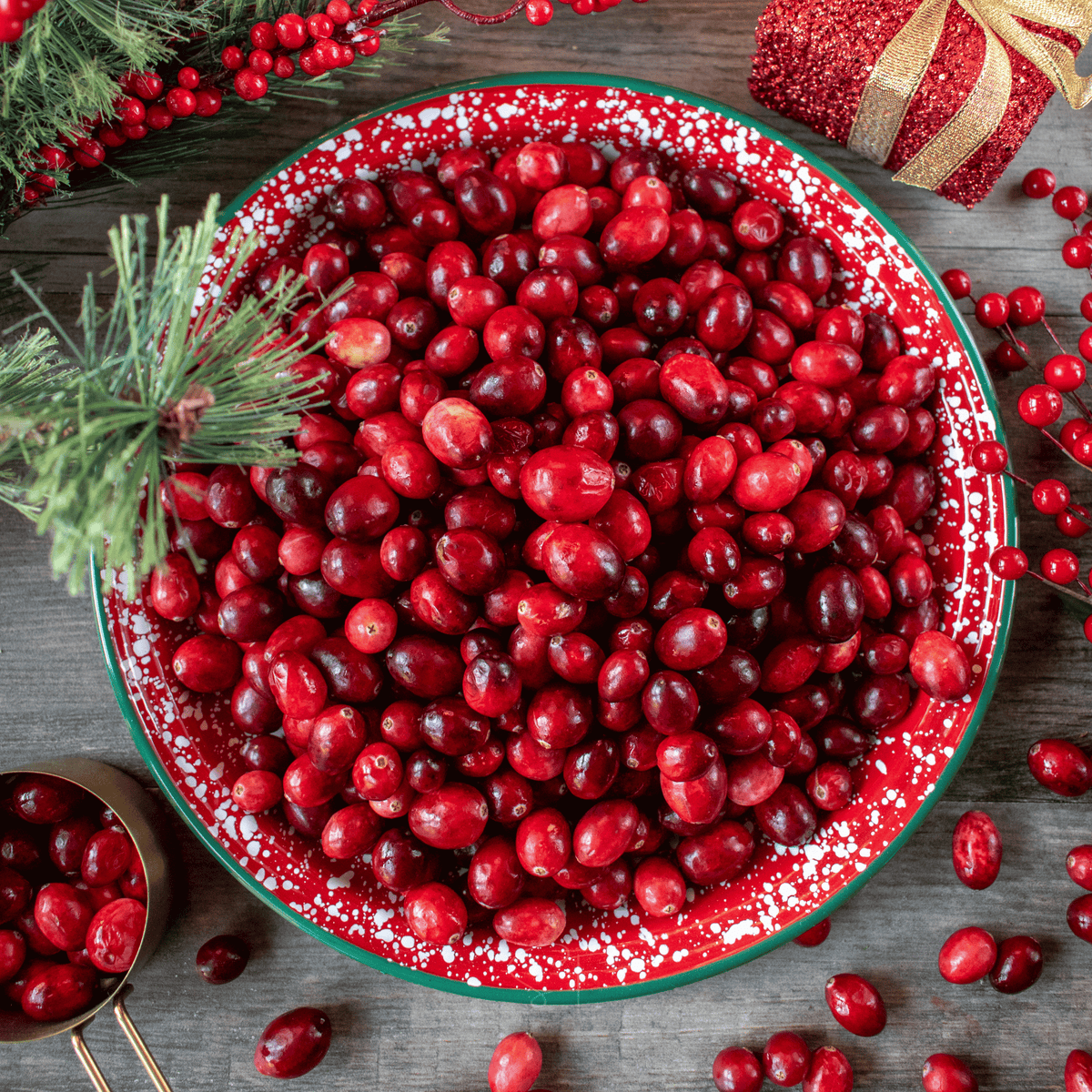 American Cranberry Seeds – 50 Heirloom Vaccinium macrocarpon, Low-Growing Perennial Ground Cover, Tart Berries for Sauce & Jams