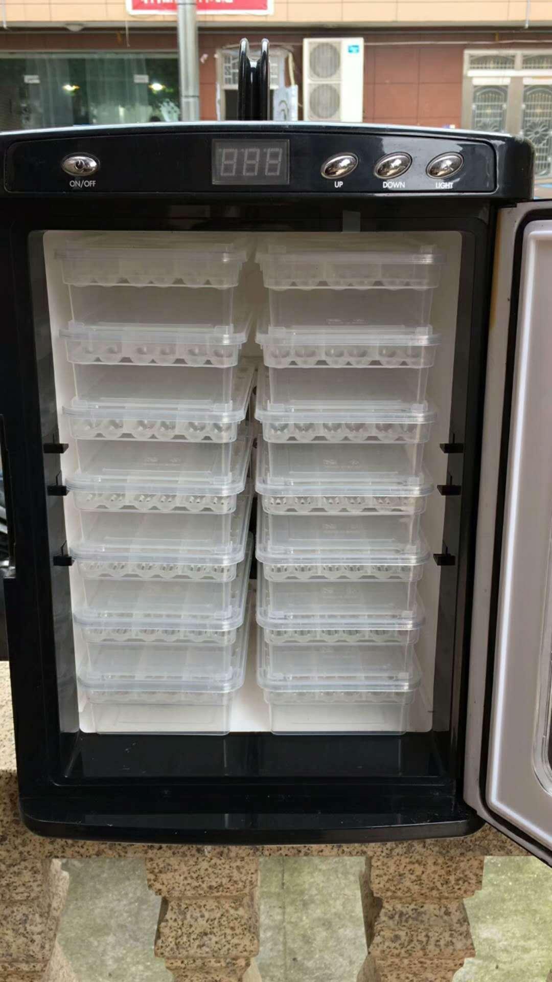 Crawling Creature Hatchery: The Ultimate Reptile Incubator