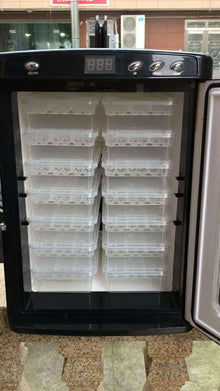 Crawling Creature Hatchery: The Ultimate Reptile Incubator