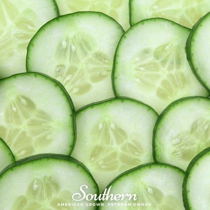 Spacemaster Cucumber – 30 Seeds