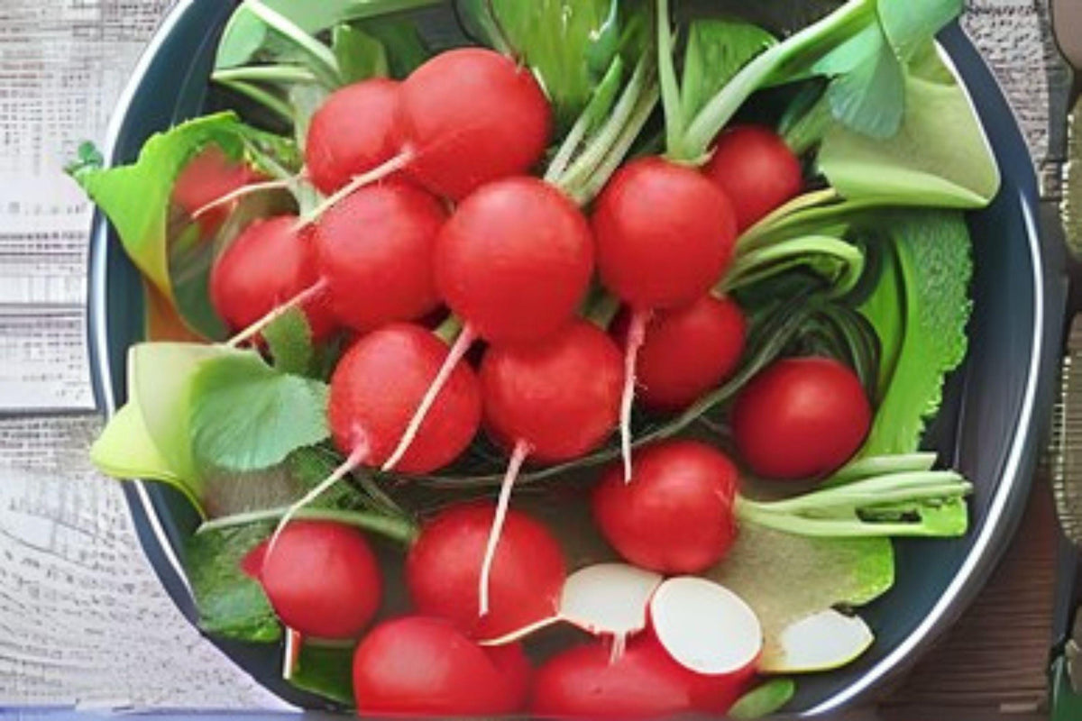 Cherry Belle Radish Seeds – 80 Heirloom Raphanus sativus Salad Vegetable, Fast-Growing, Crisp, Bright Red Roots for Containers & Garden