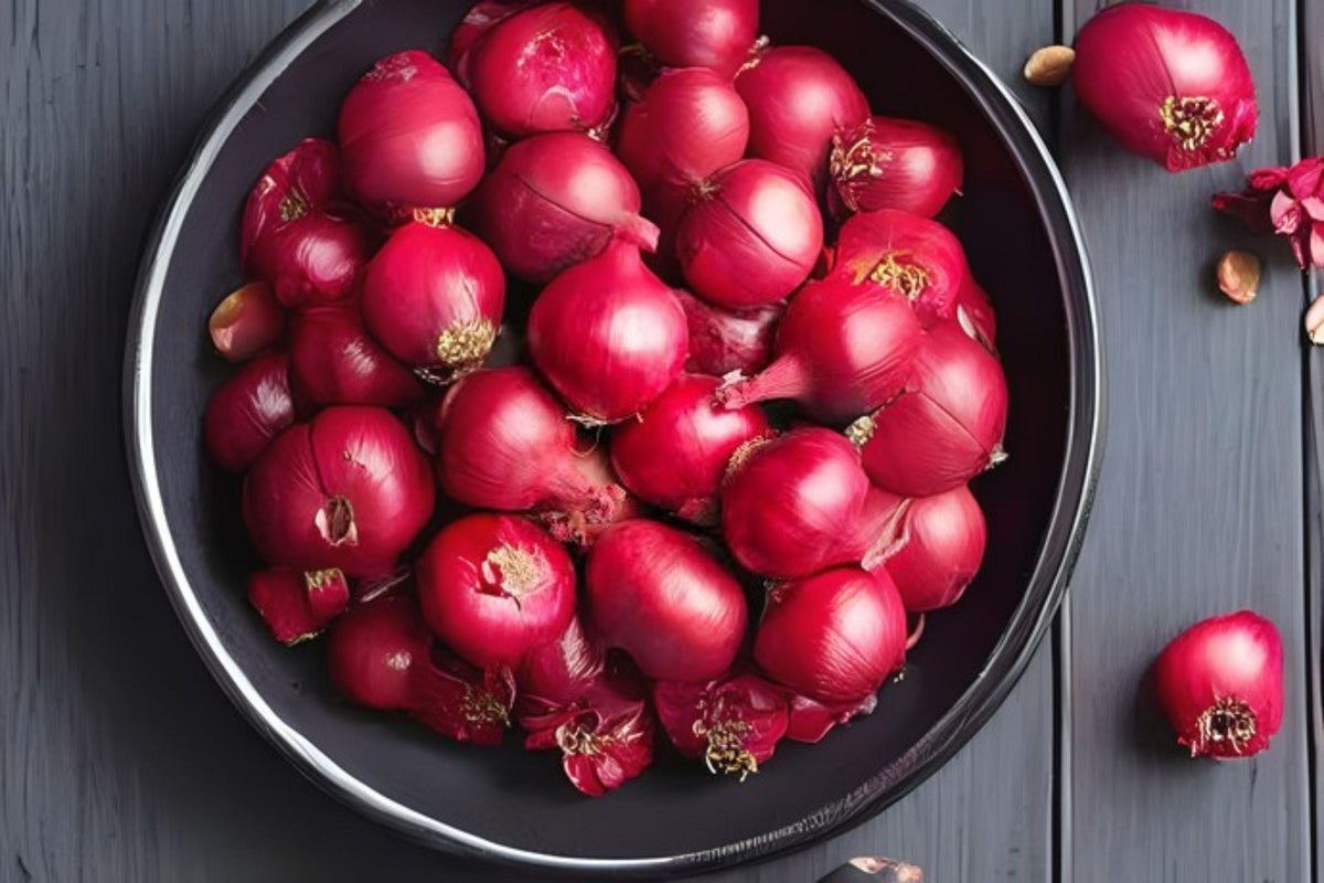 Red Grano Onion Seeds 250mg Non-GMO Heirloom Allium cepa for Slicing, Salads, Grilling