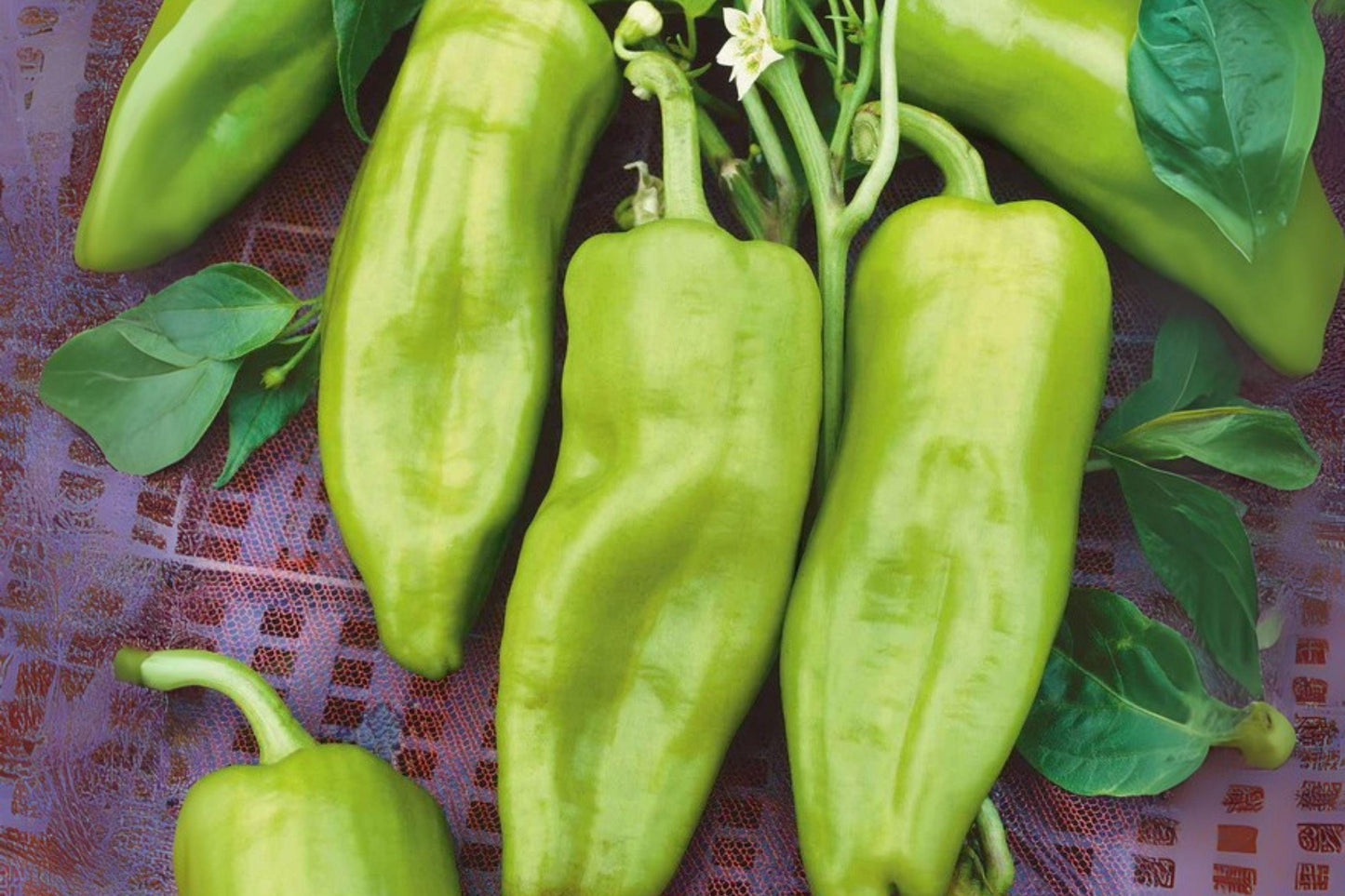 Cubanelle Sweet Pepper Seeds | Mild Italian Heirloom Capsicum annuum | Non-GMO, Open-Pollinated, 250 mg