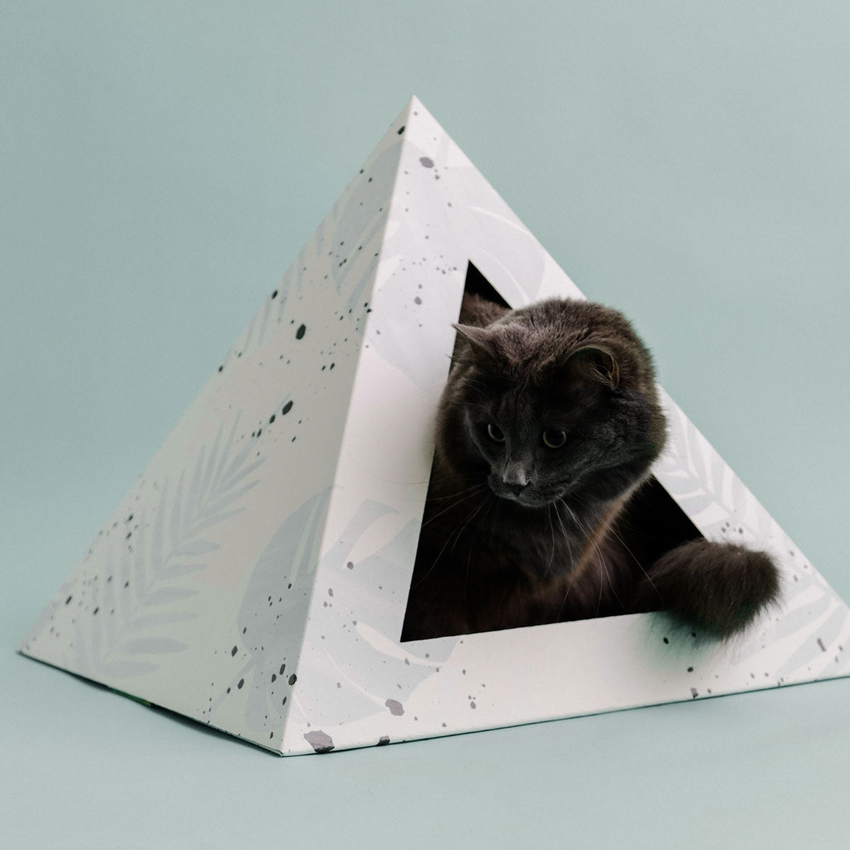 Oasis Cardboard Cat Pyramid