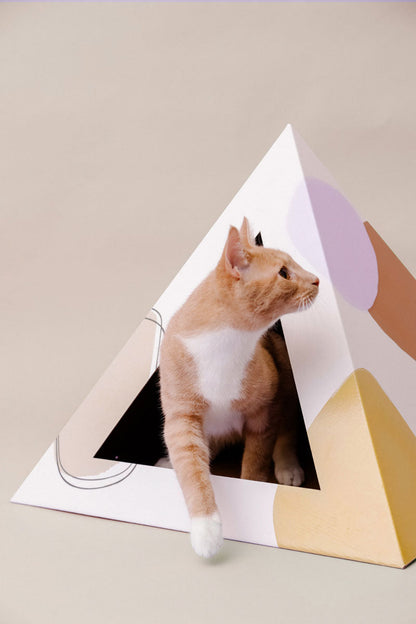 Abstract Cardboard Cat Pyramid