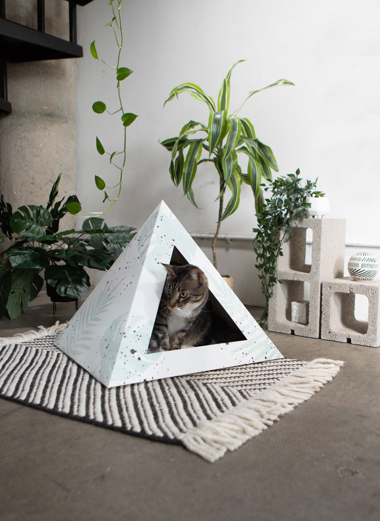 Oasis Cardboard Cat Pyramid