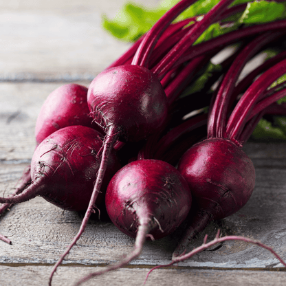 Detroit Dark Red Beet – 200 Seeds