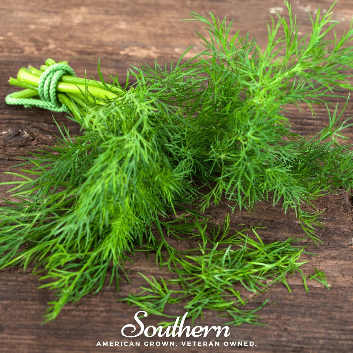 Dukat Dill Seeds - Heirloom Anethum graveolens Gourmet Herb for Fresh Use & Pickling, Container Gardening, 100 Seeds