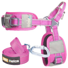Dog Helios 'Geo-turf' Performance Adjustible and Reflective Dog Harness and Leash