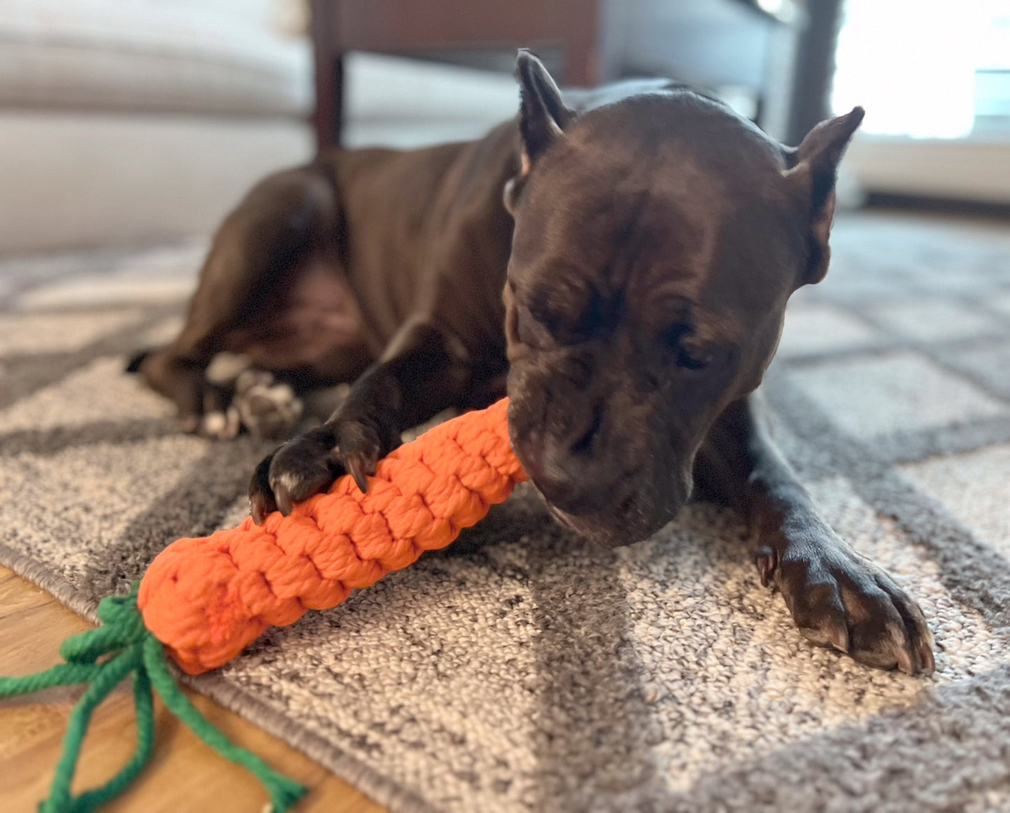 Monli Large Orange Carrot
