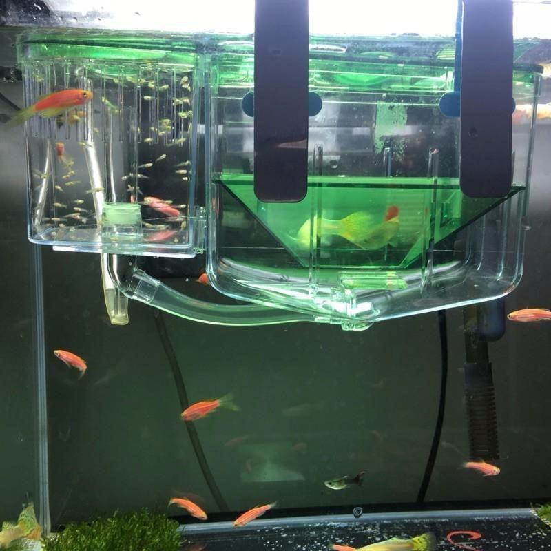 Double Layer Floating Fish Breeding Box