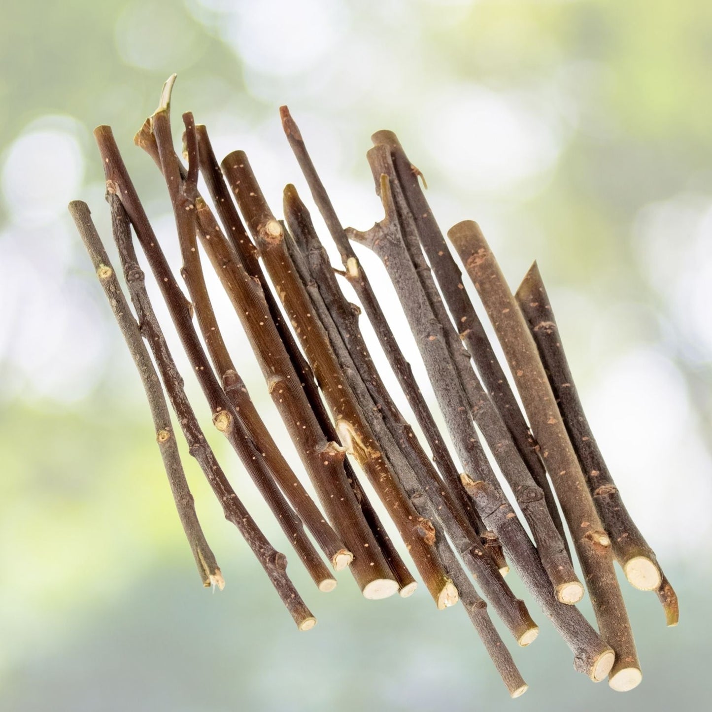 Willow Mega Munch Sticks for Rabbits, Chinchillas, Guinea Pigs - 40+ Small Natural Chew Treats - Salix spp.