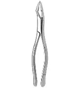 Dental Forcep #32
