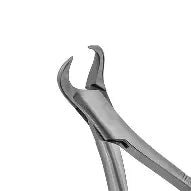 Dental Forcep #23