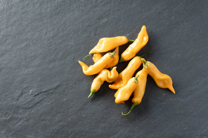 25 Aji SUGAR RUSH PEACH PEPPER Hot Sweet Fruity Capsicum Baccatum Vegetable Seeds