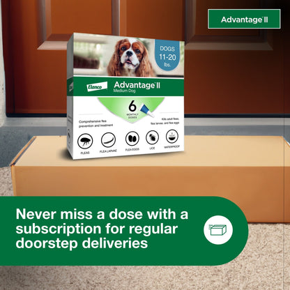 Vet-Recommended Flea Prevention for Medium Dogs 11-20 Lbs, 6-Monthly Treatments