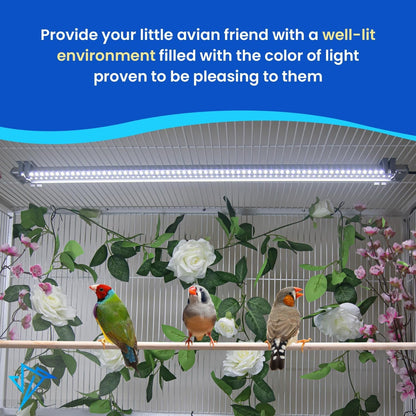 Illuminate Your Bird's World with the Happybird Full Spectrum LED Light - Safe, Easy-to-Install, and Perfect for Soft Bill Birds