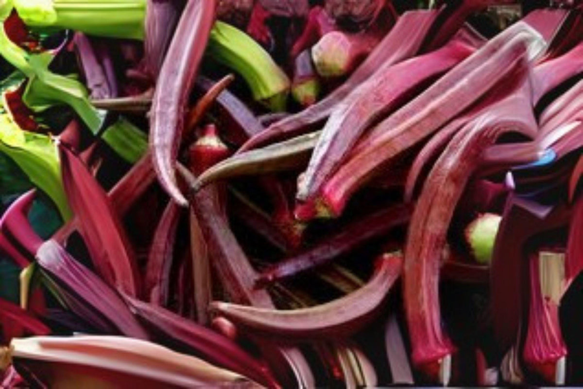 Red Burgundy Okra Seeds – Heirloom Edible & Ornamental Deep Red Pods, Abelmoschus esculentus, 15 Seeds