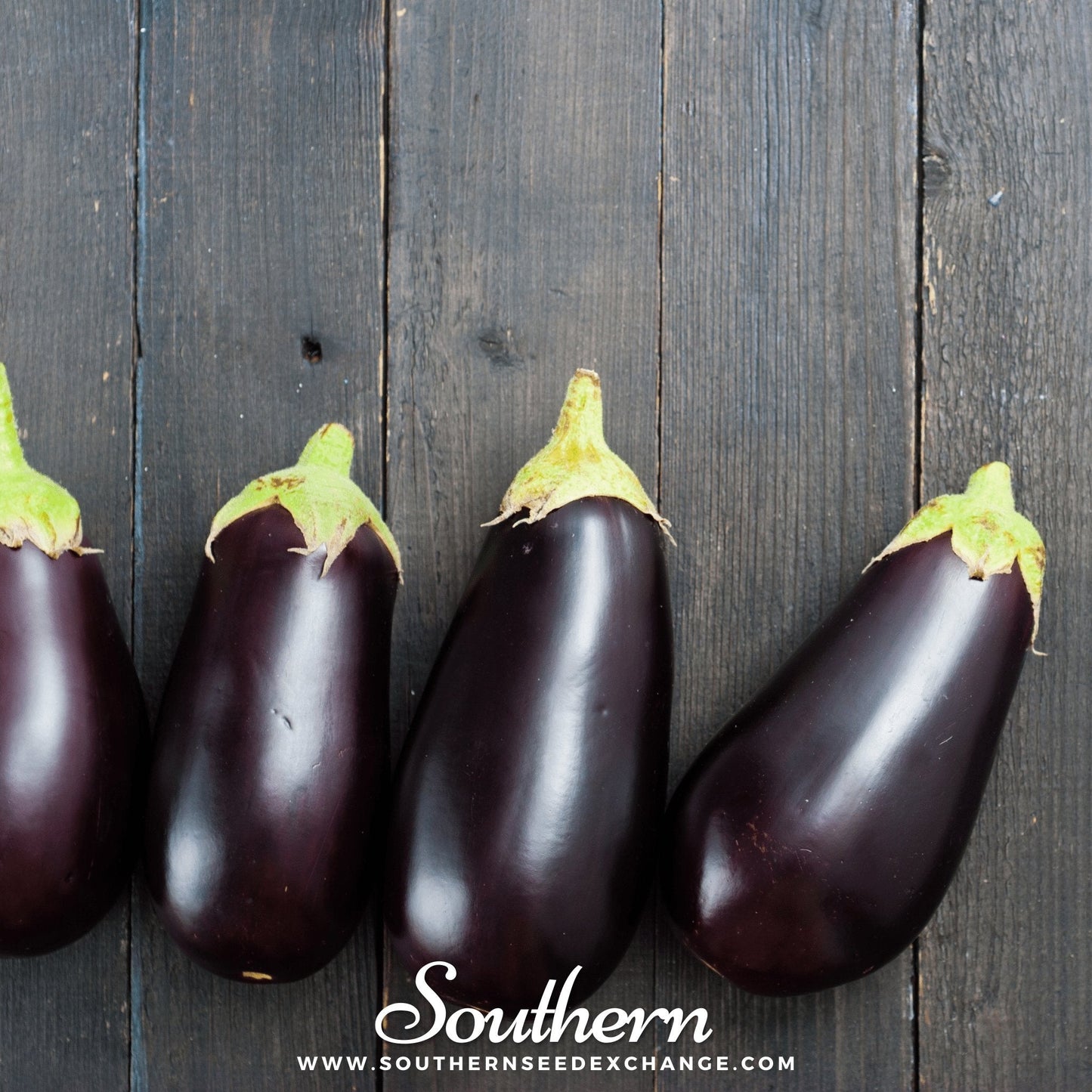 Black Beauty Eggplant Seeds – Heirloom, Non-GMO, 50 Seeds, Deep Purple-Black, Solanum melongena