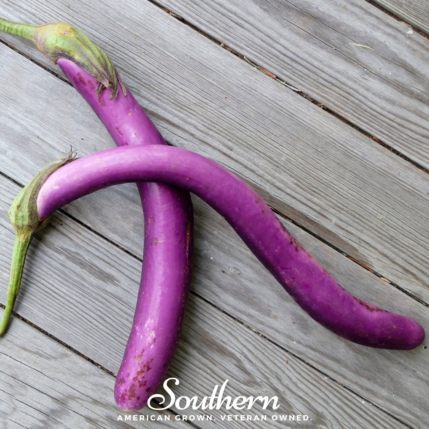 Long Purple Eggplant Seeds – Heirloom Italian Variety for Slicing, Non-GMO, Open Pollinated, Solanum melongena