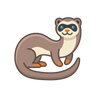 Ferret