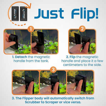 Flipper X Cichlid Bros Bundle