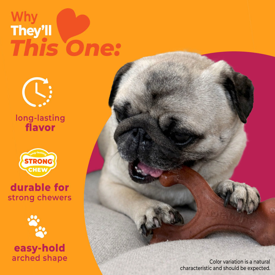 Nylabone Strong Chew Wishbone Dog Chew Toy Bacon Small