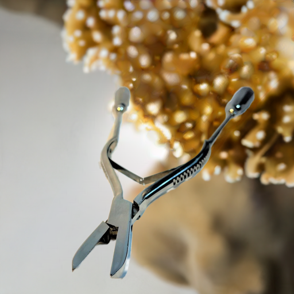 Coral Cutters - Extended Reach 15" long
