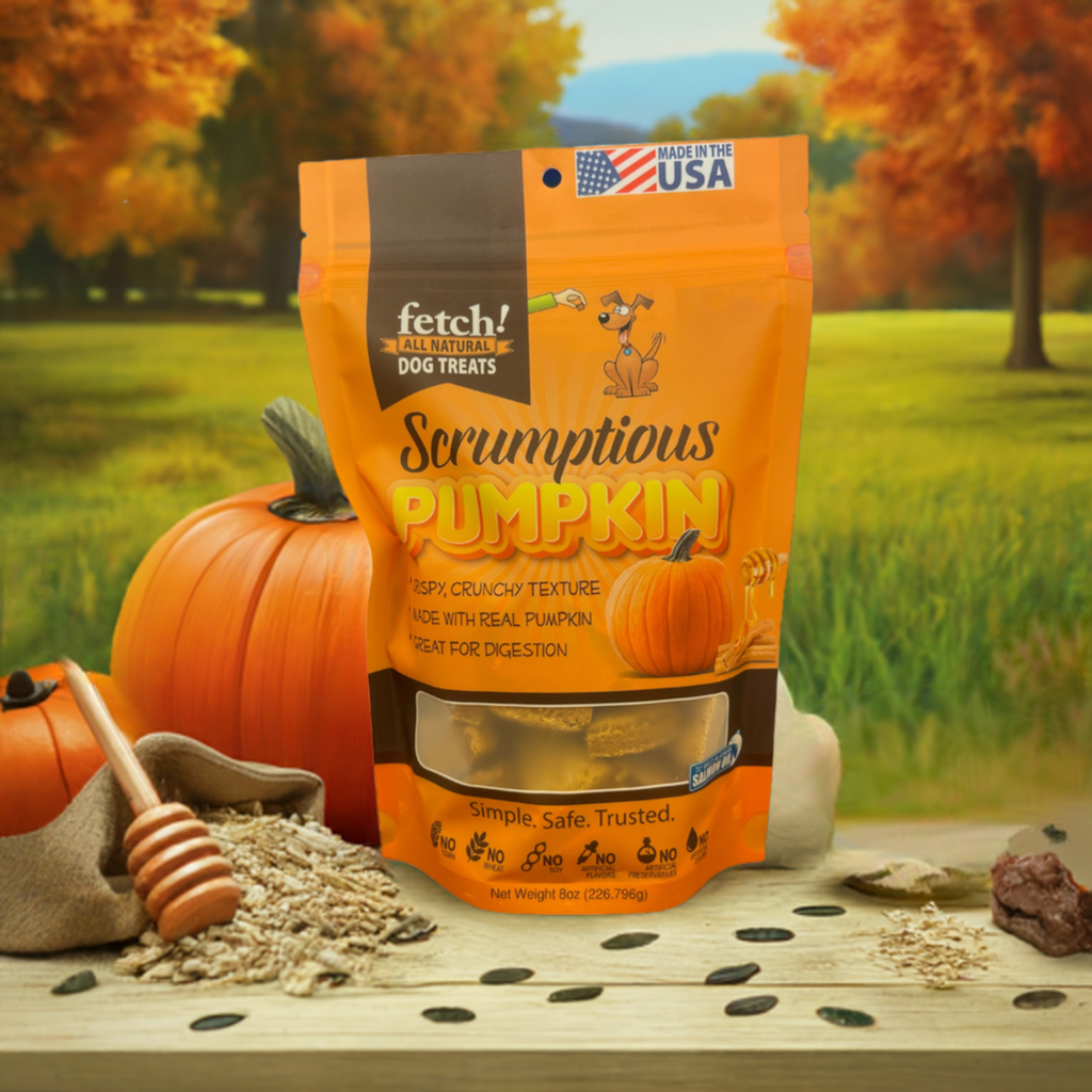 Biscuits Scrumptious Pumpkin Fetch Dog Treats™